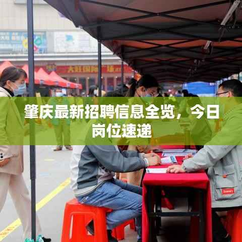 公司概况 第158页