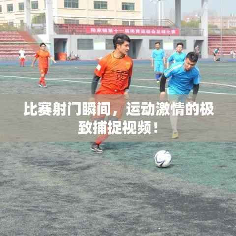 恋恋不舍 第2页