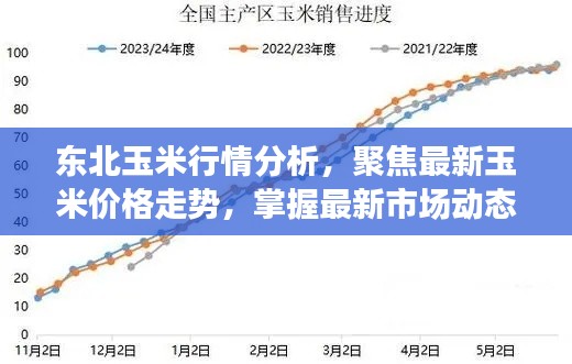 东北玉米行情分析,聚焦最新玉米价格走势,掌握最新市场动态!