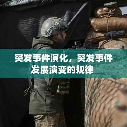 突发事件演化,突发事件发展演变的规律
