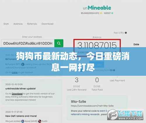 狗狗币最新动态,今日重磅消息一网打尽