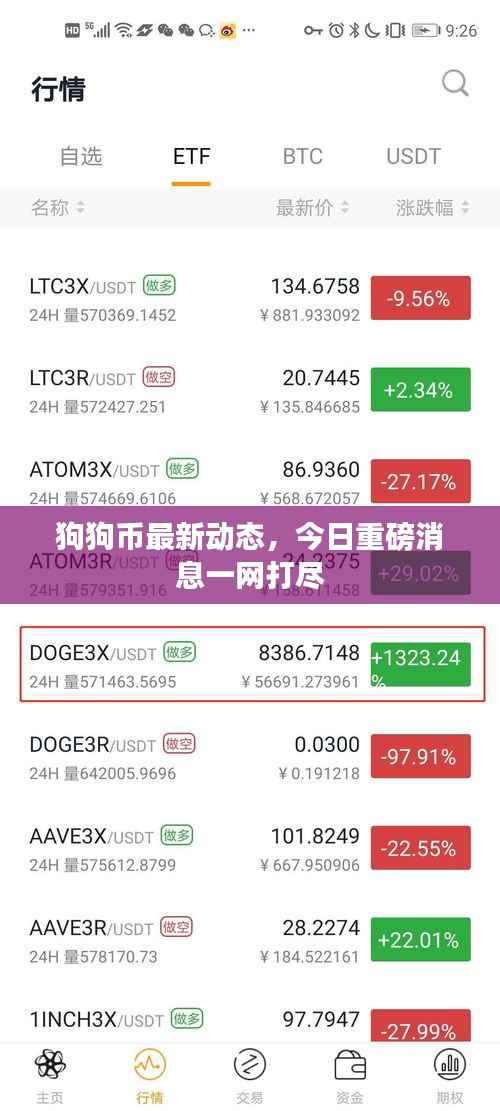 狗狗币最新动态,今日重磅消息一网打尽