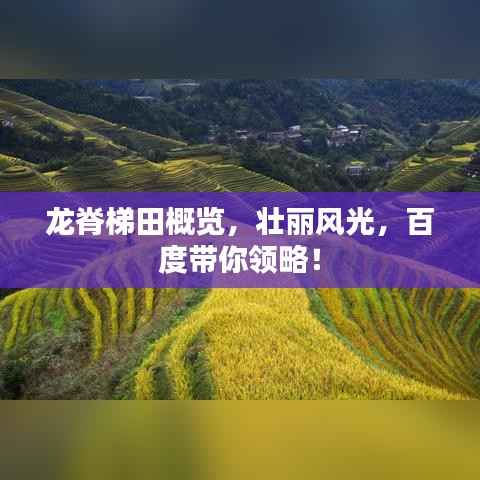 龙脊梯田概览,壮丽风光,百度带你领略!