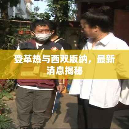 登革热与西双版纳,最新消息揭秘