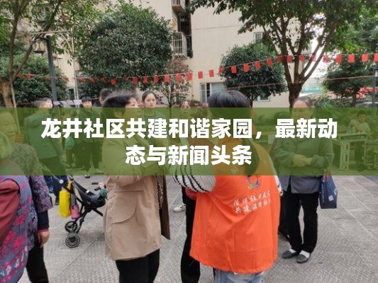 龙井社区共建和谐家园,最新动态与新闻头条