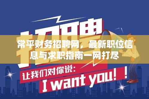 常平财务招聘网,最新职位信息与求职指南一网打尽