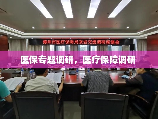 医保专题调研,医疗保障调研
