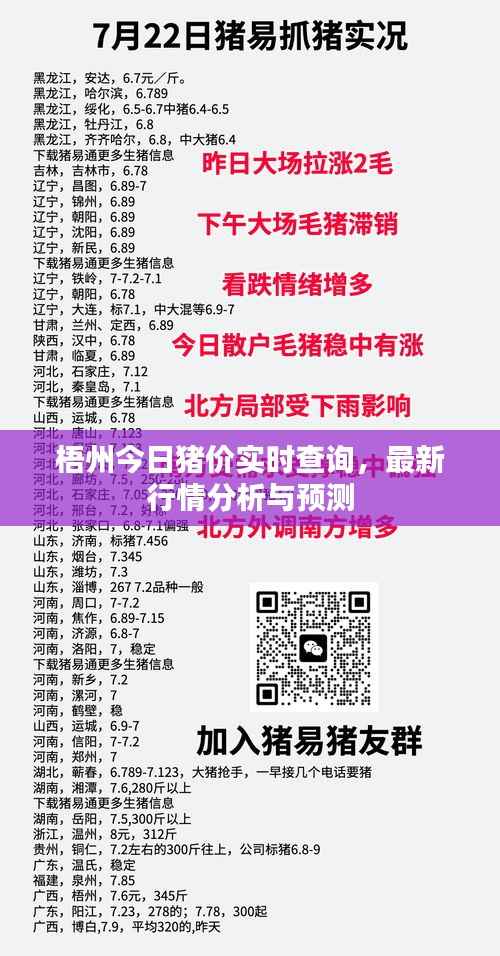 销声匿迹 第2页