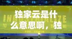 独家云是什么意思啊，独家百度百科 