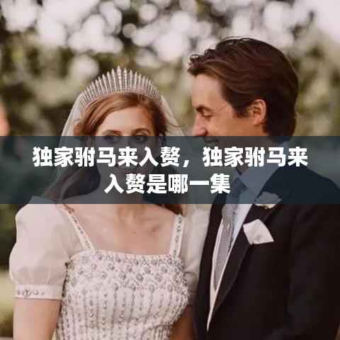 独家驸马来入赘，独家驸马来入赘是哪一集 