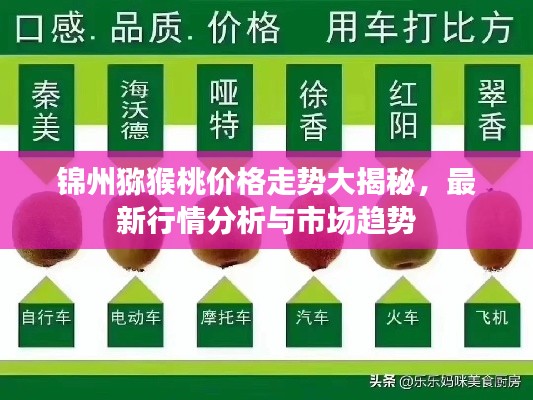 锦州猕猴桃价格走势大揭秘，最新行情分析与市场趋势