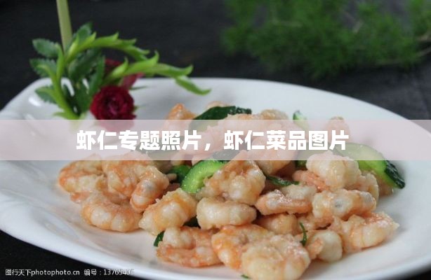 虾仁专题照片，虾仁菜品图片 