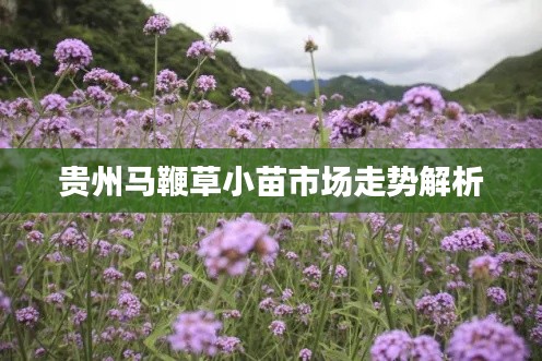 避凶就吉 第2页