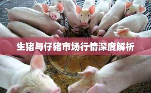 生猪与仔猪市场行情深度解析